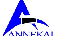 Logo without bg